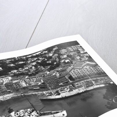 The port from Mont Boron, Nice, France by Anonymous