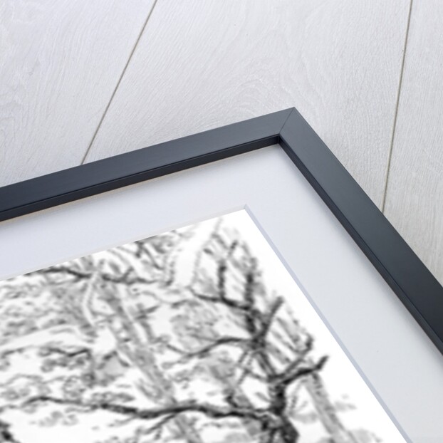 'In the Spring a Young Man's Fancy...', First World War by Anonymous