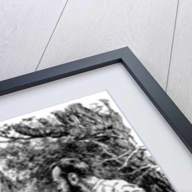 'The Advance that Failed', First World War by Bernard Partridge