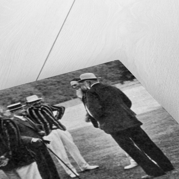 Royal cricketers at Cumberland Lodge, Windsor Great Park, Berkshire by Ernest Brook