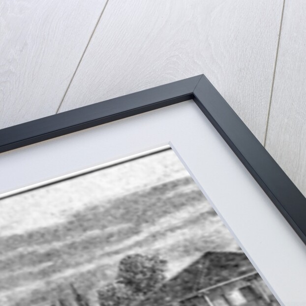 Lord's cricket ground, London by Anonymous