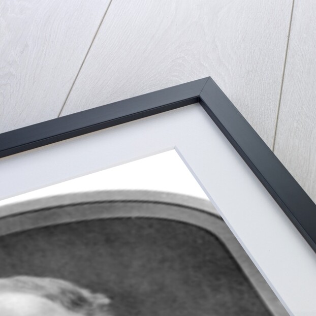 James Henry Dark (1795-1871), cricketer by Anonymous