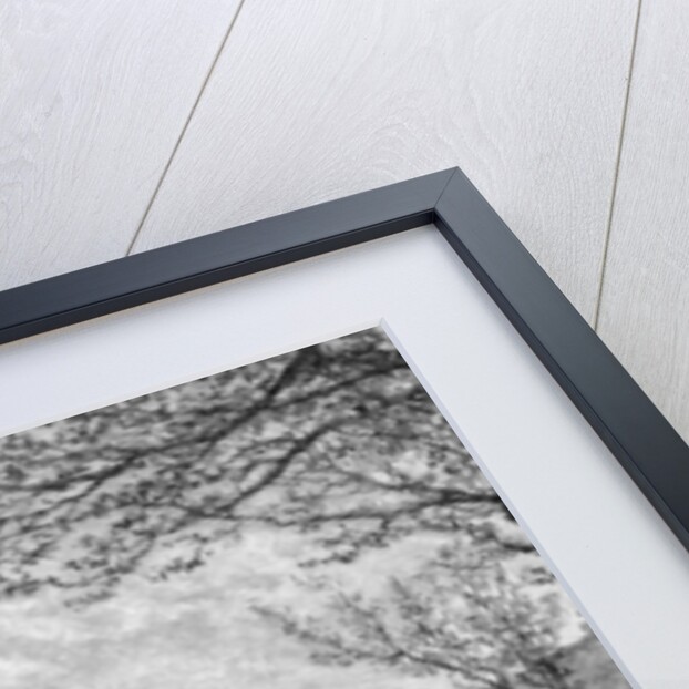 General view of Kang-Hoa, Lower Hang-Kiang by Anonymous