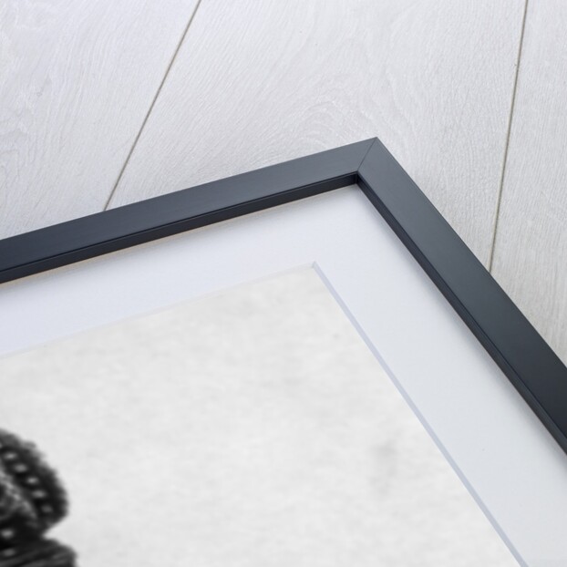 A rapier by Claude Savigny, French by Anonymous