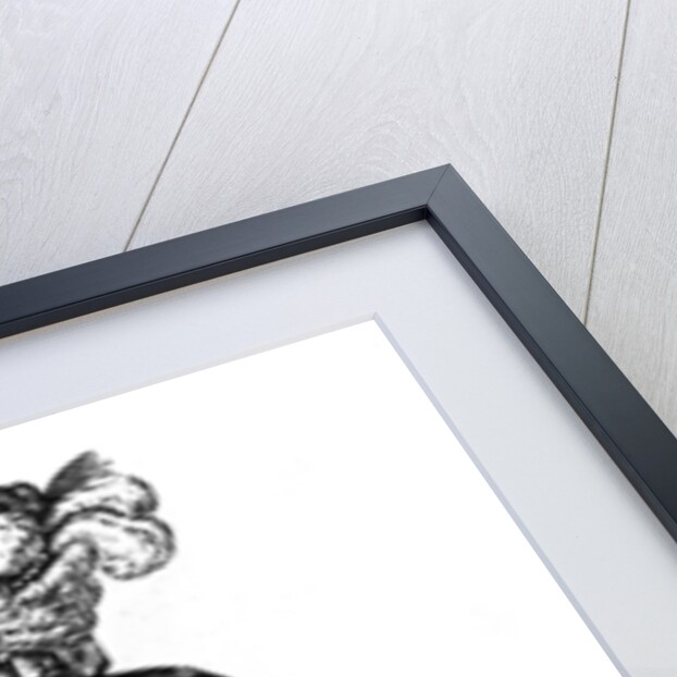 A princess' costume by Leclere