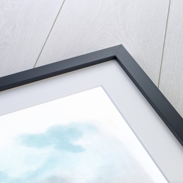 Dragoon guards by LE Buckell