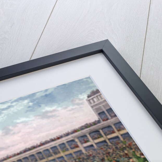 Horse race by Anonymous