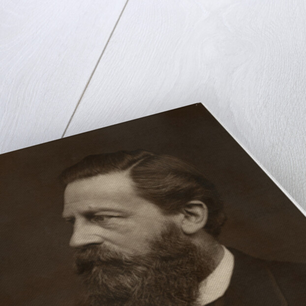 Portrait of a bearded man by Anonymous