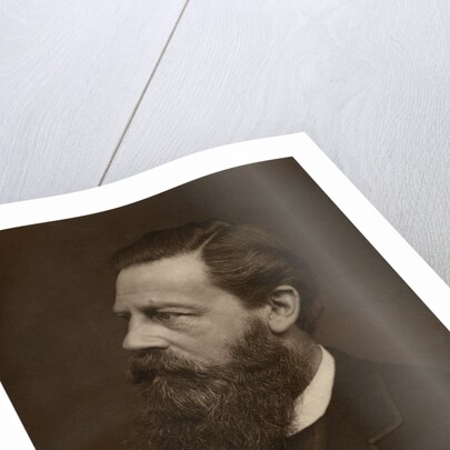 Portrait of a bearded man by Anonymous