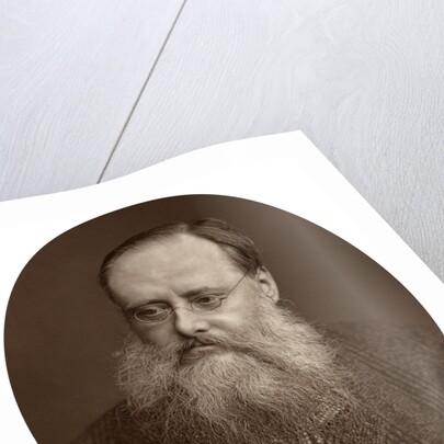 Portrait of an old man with a beard by Anonymous