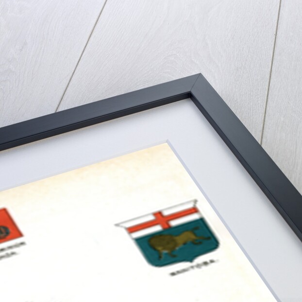 Coats of arms and flags of Canada by Anonymous