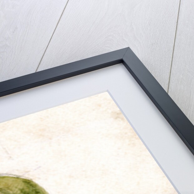 Oscar Schaeffer by Anonymous