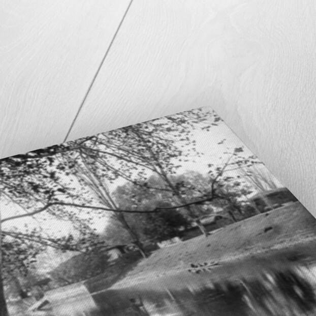 Chinar Bagh in the autumn, Kashmir, India by F Bremner