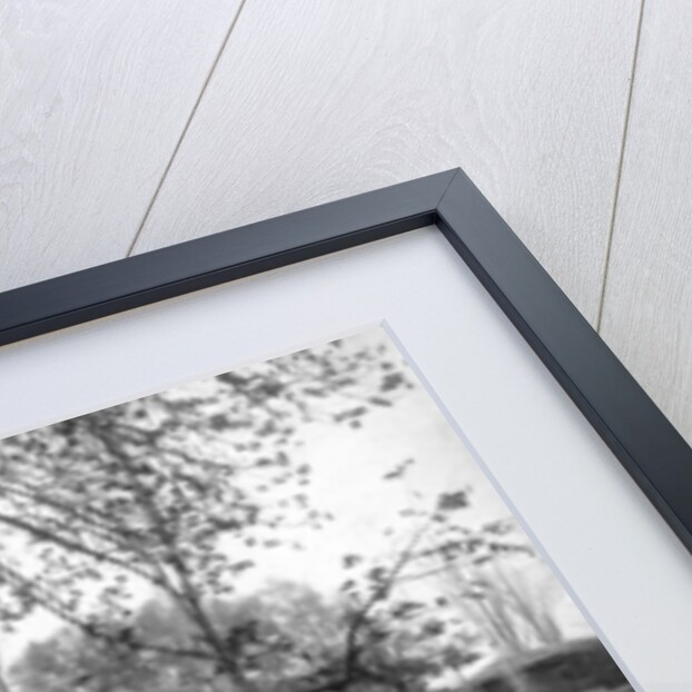 Chinar Bagh in the autumn, Kashmir, India by F Bremner