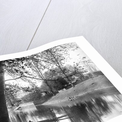 Chinar Bagh in the autumn, Kashmir, India by F Bremner