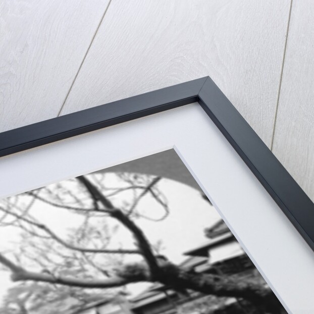 Japanese maids in a garden by BL Singley