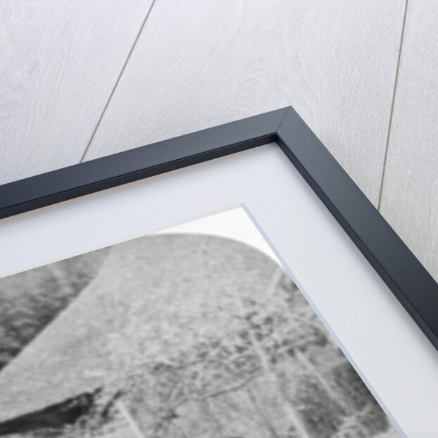 A morning ride in a jinrikisha (rickshaw), Sugita, Japan by Underwood & Underwood