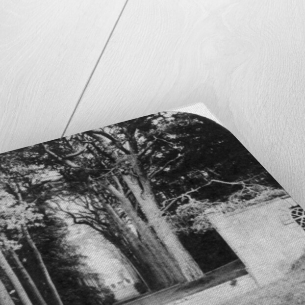 The Avenue, Guy's Cliff, Warwick by Anonymous