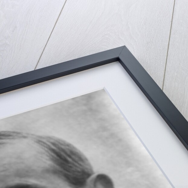 Woodrow Wilson, American president by Pash