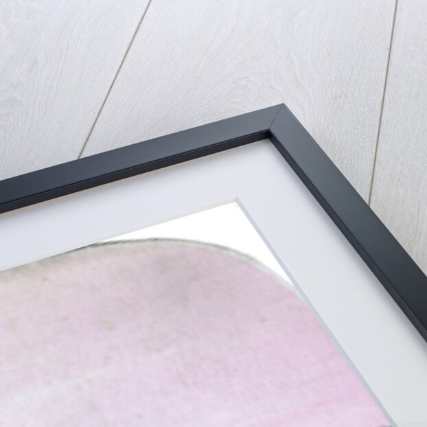 City Hall and the Alster, Hamburg, Germany by Anonymous