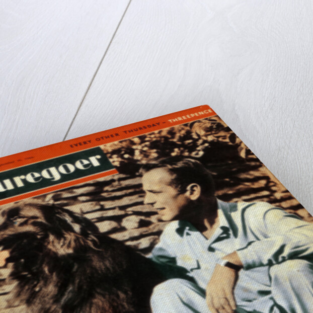 Humphrey Bogart (1899-1957), American actor by Anonymous