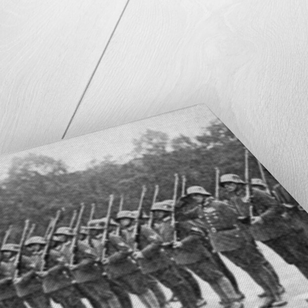 Friedrich Ebert (1871-1925) inspecting the troops, Germany by Anonymous