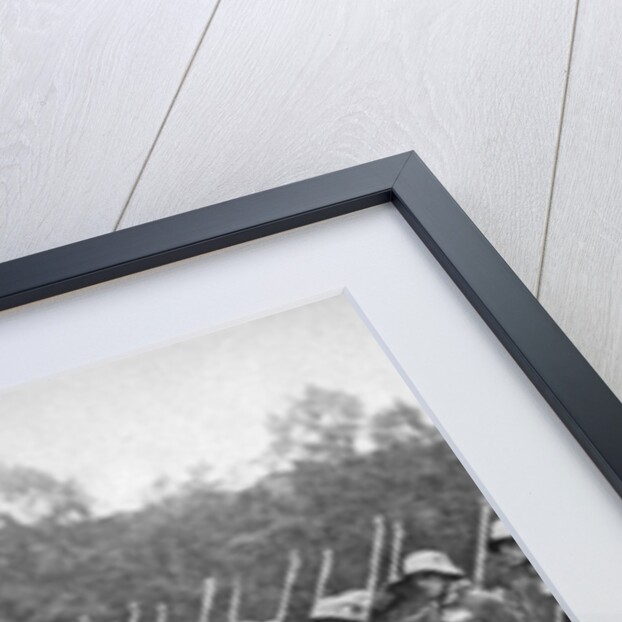 Friedrich Ebert (1871-1925) inspecting the troops, Germany by Anonymous