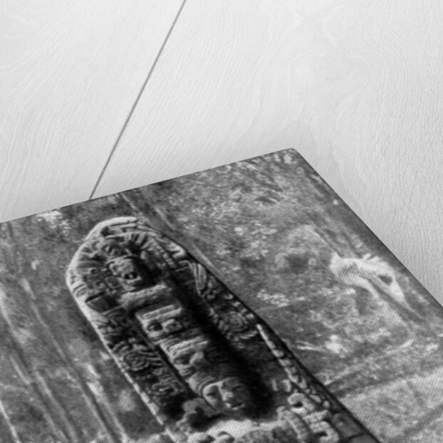 A mystery monolith in the primeval forest of Quirigua, Guatemala by Alfred P Maudsley