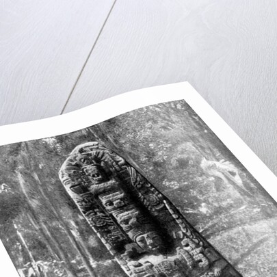 A mystery monolith in the primeval forest of Quirigua, Guatemala by Alfred P Maudsley