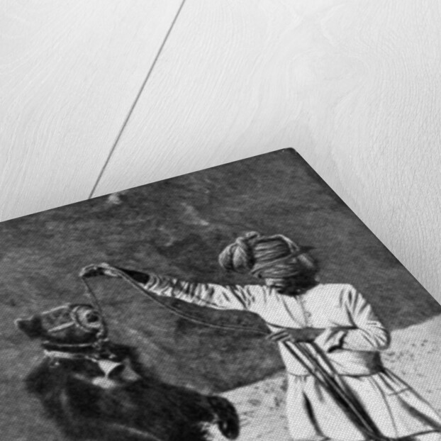 A Punjabi native with a dancing bear, India by Robert Chisham