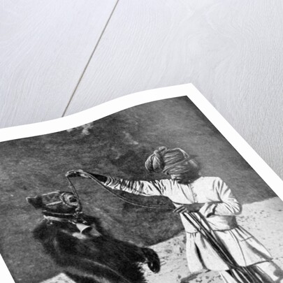 A Punjabi native with a dancing bear, India by Robert Chisham