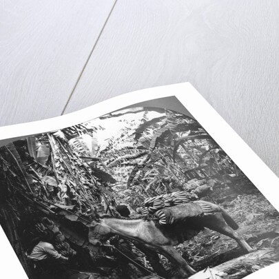 Harvesting bananas, Costa Rica by Anonymous