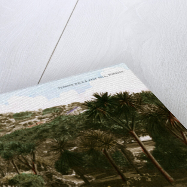 Terrace Walk and Vane Hill, Torquay, Devon by Ern Bishop