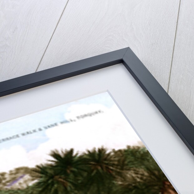 Terrace Walk and Vane Hill, Torquay, Devon by Ern Bishop