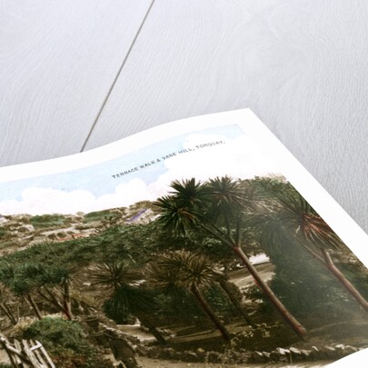 Terrace Walk and Vane Hill, Torquay, Devon by Ern Bishop