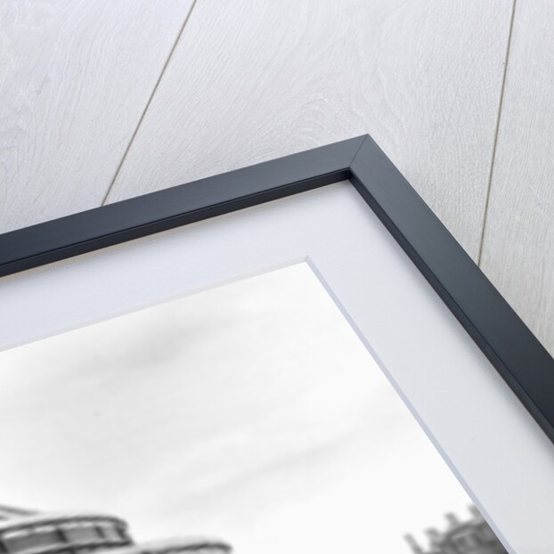 The Royal Albert Hall, Kensington, London by Anonymous