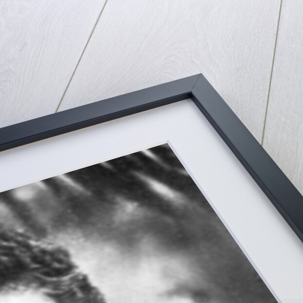 The Princess Royal, Princess Louise (1867-1931) by GD & D