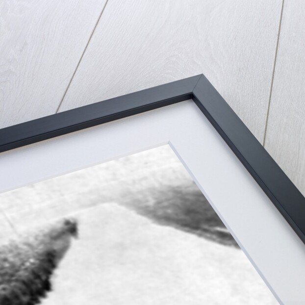 French infantry, reinforcements for the allies, First World War by Anonymous