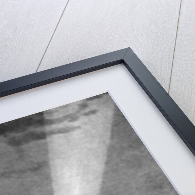 Zeppelin bombardment of Antwerp, First World War by RG Mathews