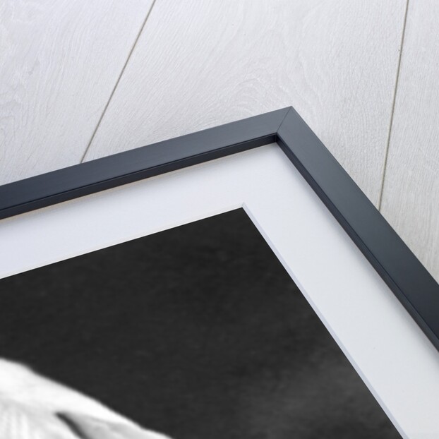 Field Marshal Sir John DP French, British soldier, First World War by Gale & Polden