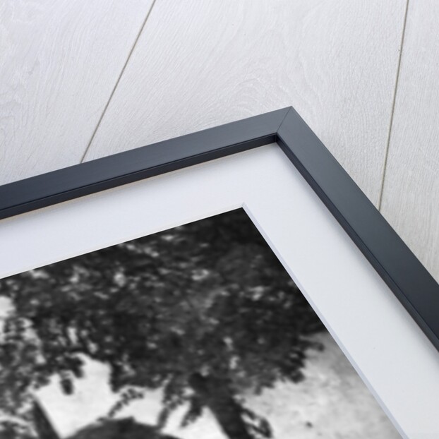 Serbian family telling the story of routing the Austrians from Bosnia, First World War by Anonymous