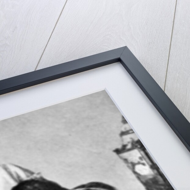 Russian Royal ladies, Tsarkoe Military Hospital by Anonymous