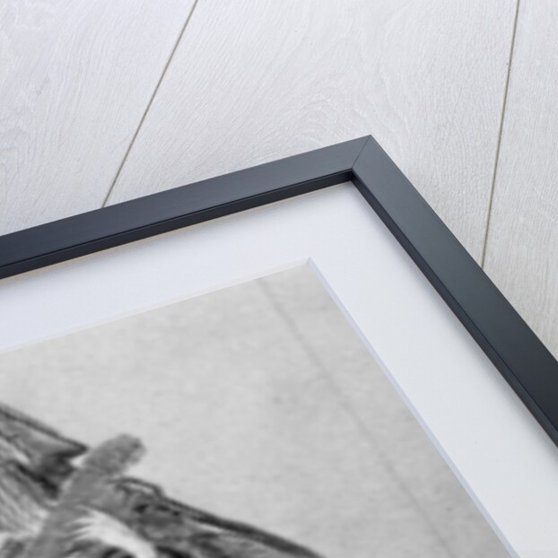 A woman playing a stringed instrument by Daniel Rebel