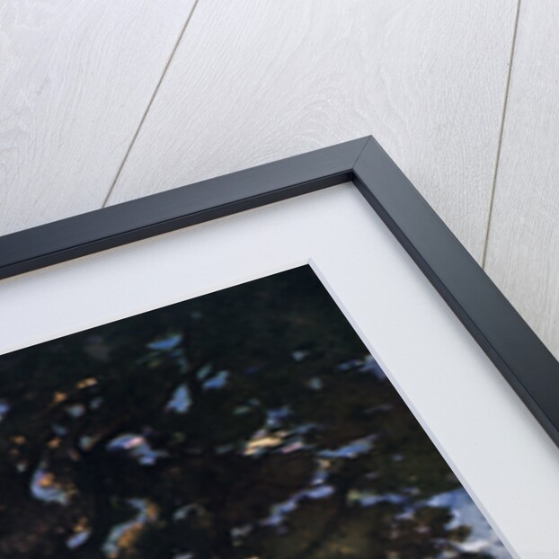 Oak trees in Chateaunenard, France by Henri-Joseph Harpignies