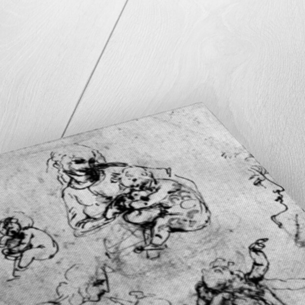 Studies for a 'Madonna Del Gatto' by Leonardo Da Vinci