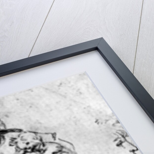 Studies for a 'Madonna Del Gatto' by Leonardo Da Vinci