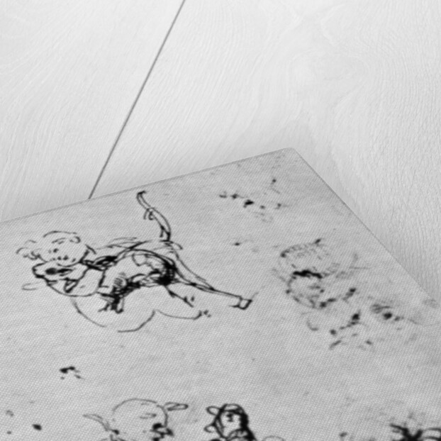 Studies for a 'Madonna Del Gatto' by Leonardo Da Vinci