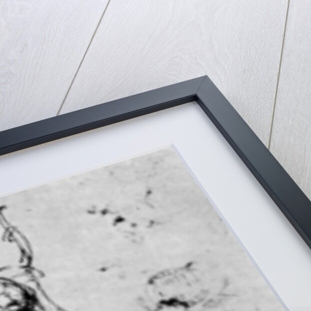 Studies for a 'Madonna Del Gatto' by Leonardo Da Vinci