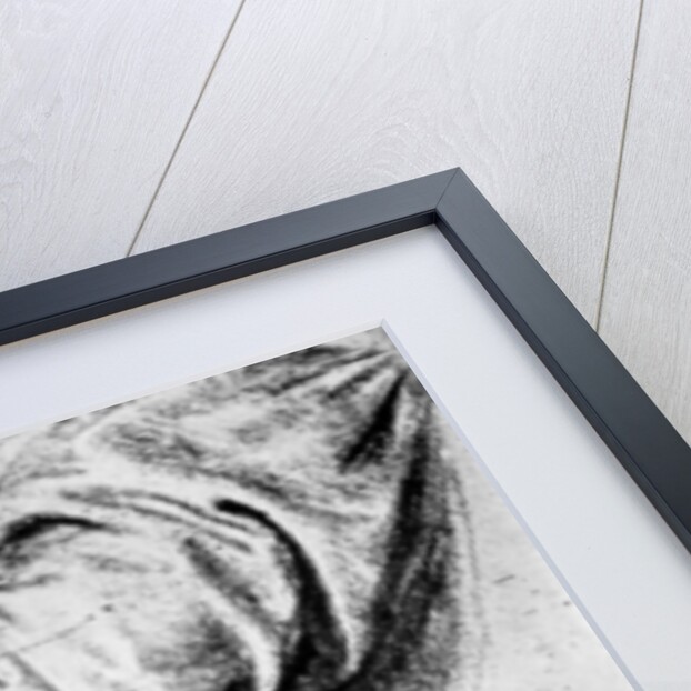 Study for the sleeve of the right arm of St Peter by Leonardo Da Vinci