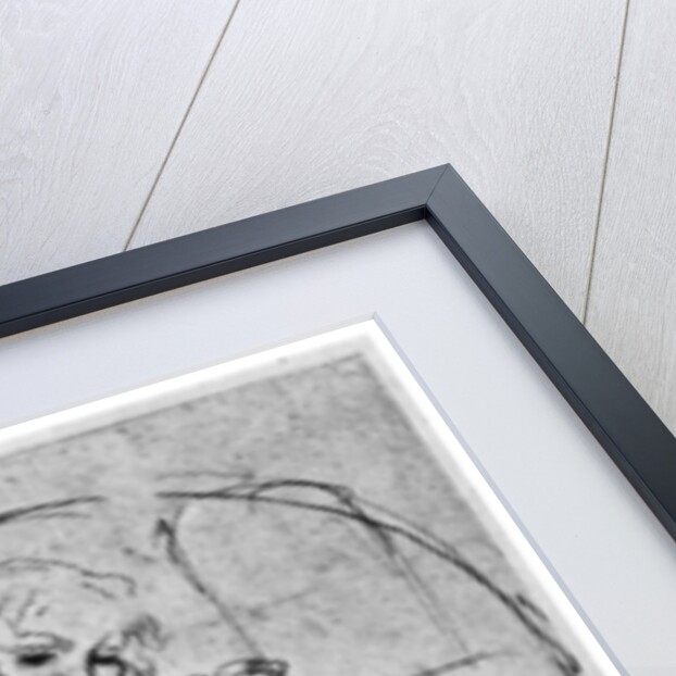 Studies for a 'Madonna Del Gatto' by Leonardo Da Vinci